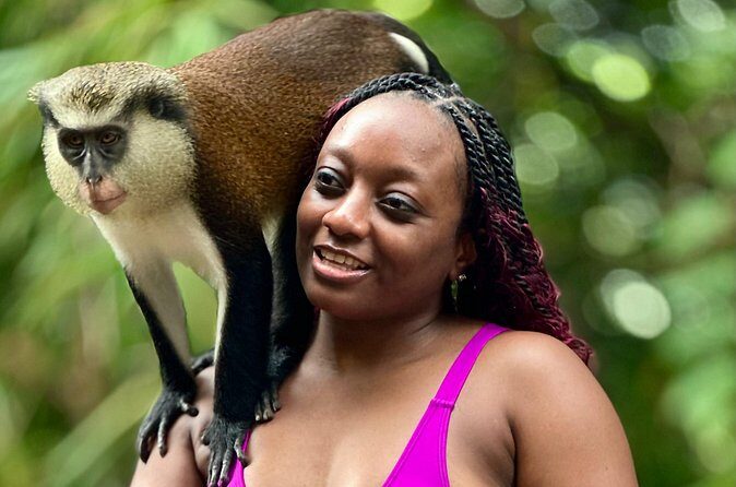 Grenada Day Tour-Concord Falls, Chocolate, Rum & Grand Etang Lake - Authentic Experiences and Cultural Highlights