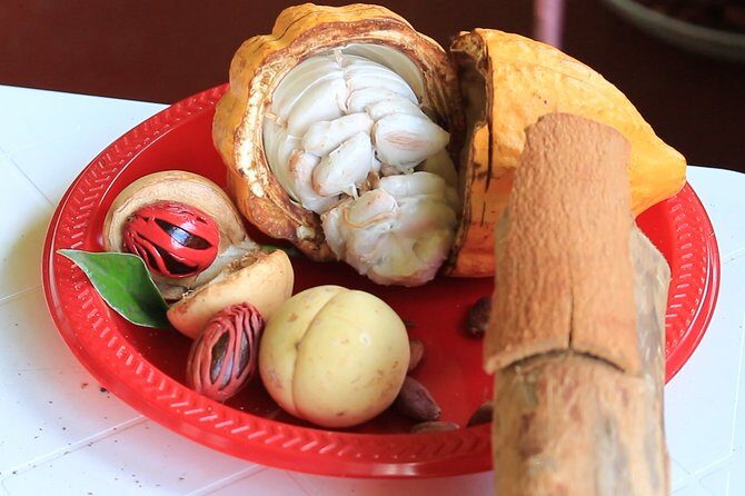 Grenada Express Tour - Annandale, Fort Fredrick, Rum Distillery & Beach Tour - FAQ