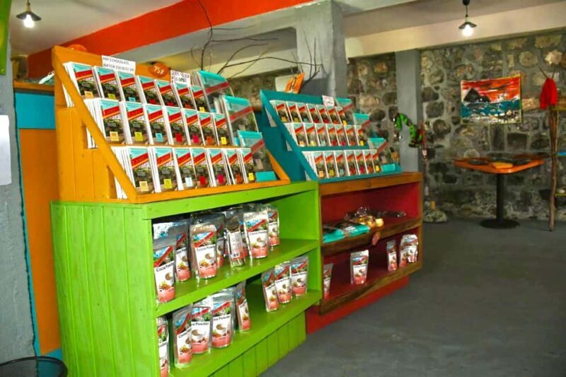 Grenada Half Day Tour: Fort, Spice, Falls, Chocolate & Lunch - Practical Details and Tips