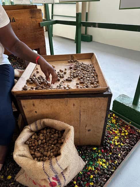 Grenada Half Day Tour: Fort, Spice, Falls, Chocolate & Lunch - Who Should Take This Tour?