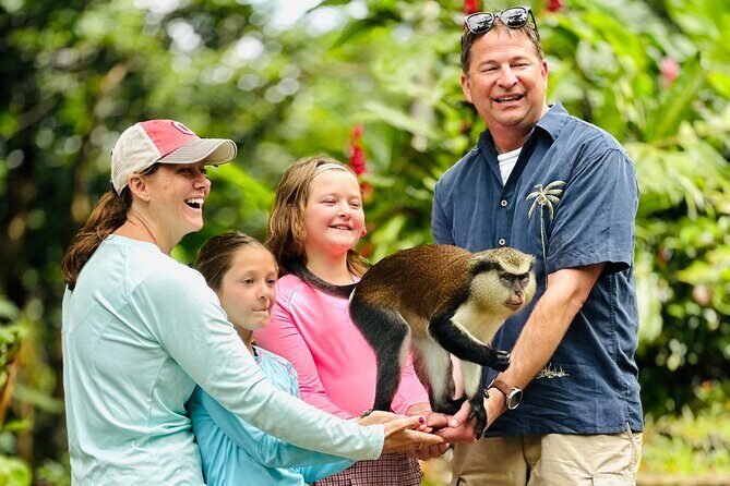 Grenada Highlights: City Tour, Fort, Chocolate, Rainforest- Falls - Key Points