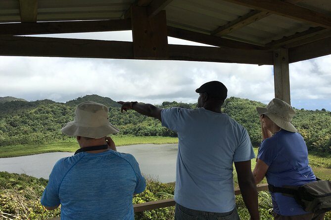 Grenada in a Nutshell- Deluxe Island Tour - Who Should Choose This Tour?