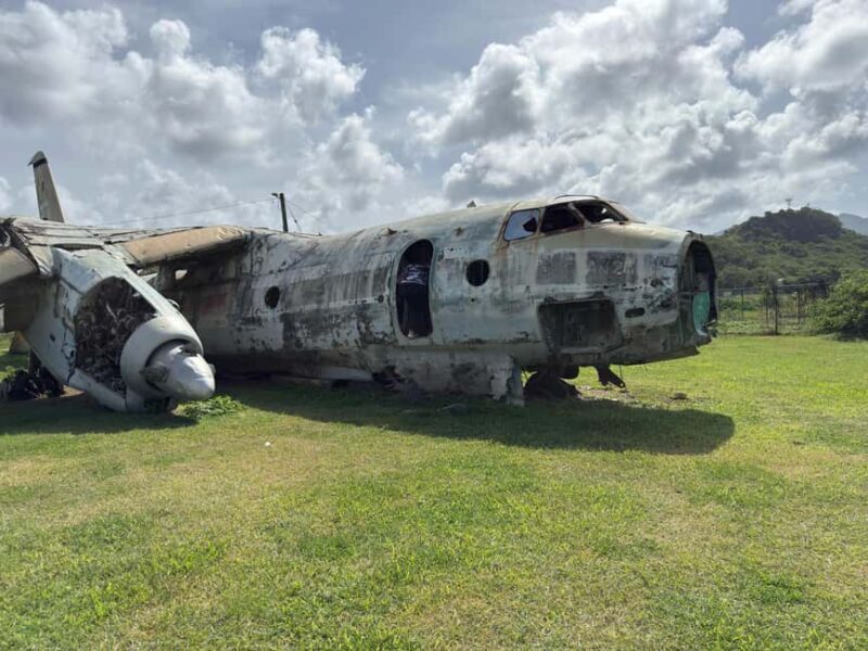 Grenada: Island Tour with Waterfalls and Beaches - Value and Who It’s For