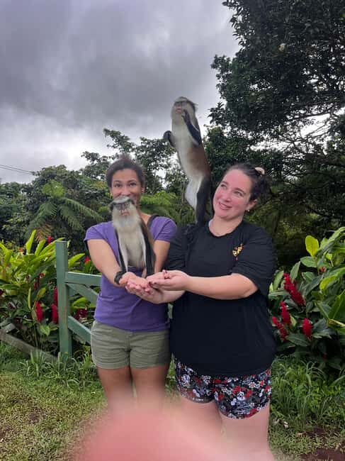 Grenada: Island Vibes in the Spice-Isle - Annandale Waterfall – A Refreshing Start