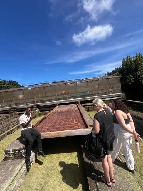 Grenada: Island Vibes in the Spice-Isle - River Antoine Distillery – A Taste of Tradition