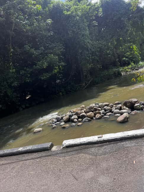 Grenada: River Tubing Adventures - Key Points