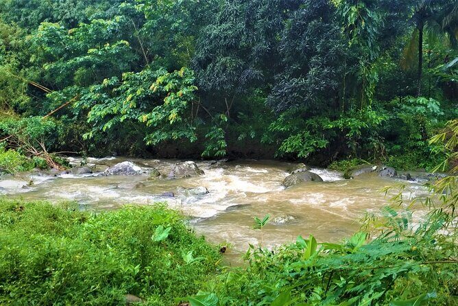 Grenada River Tubing and Annandale Falls Private Tour - Who Will Love This Tour?