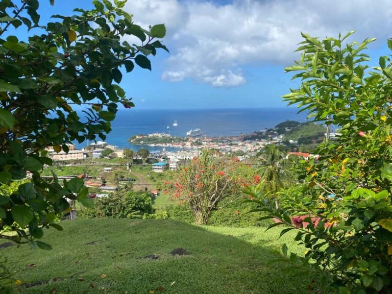 Grenada: Spice and Herb Garden Tour with Beach Visit - Who Is This Tour Best For?