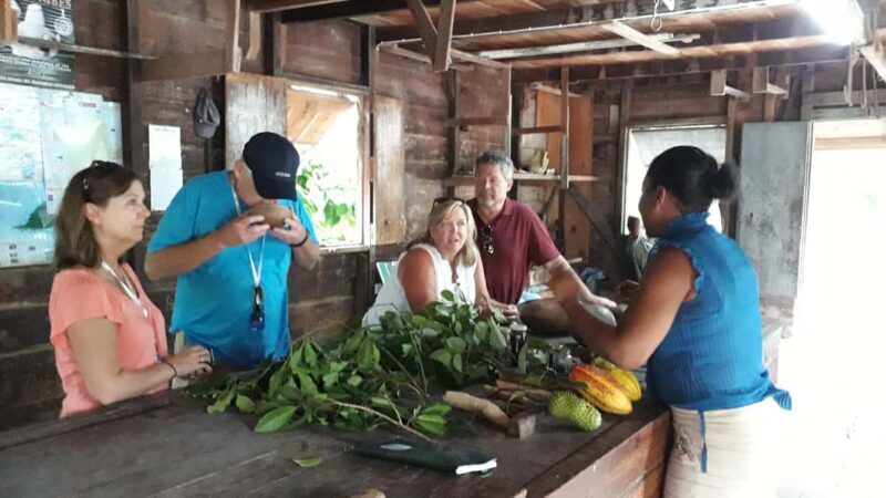 Grenada: Spice Island Expedition. - Discover the Aromatic Heart of Grenada with the Spice Island Expedition