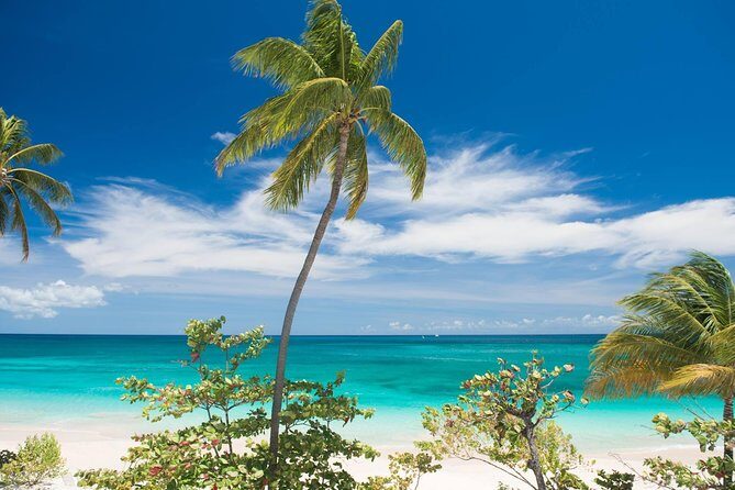 Grenada West Coast: Waterfalls, Chocolate & Rum Half-Day Tour - Who Should Consider This Tour?