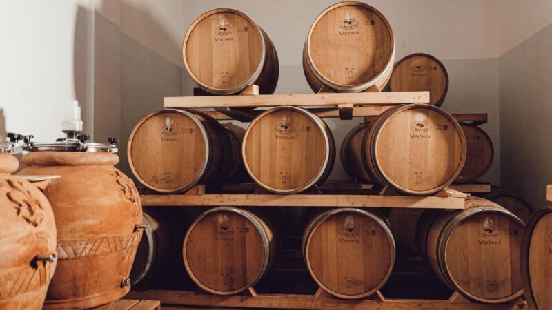 Greve in Chianti: Tour and tasting of organic Chianti Classico and Tuscan snacks - An In-Depth Look at the Tour Experience