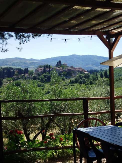 Greve in Chianti: Wine tasting and visit to our small winery - Greve in Chianti: Wine tasting and visit to our small winery