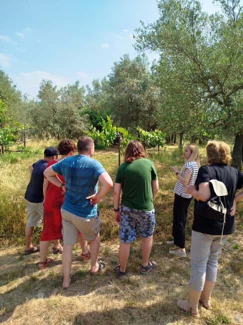 Greve in Chianti: Wine tasting and visit to our small winery - Who should consider this experience?