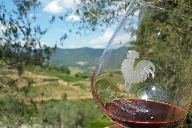 Greve in Chianti Wine Tasting and Winery Tour - An Authentic Taste of Chianti in Greve