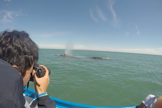 Grey whale watching in Puerto Chale, Mexico - Diving Deeper into the Experience
