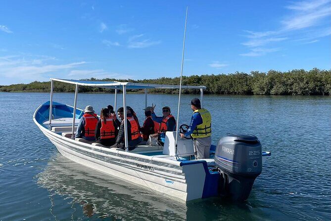 Grey Whale Watching with Expert Local Guides - FAQ