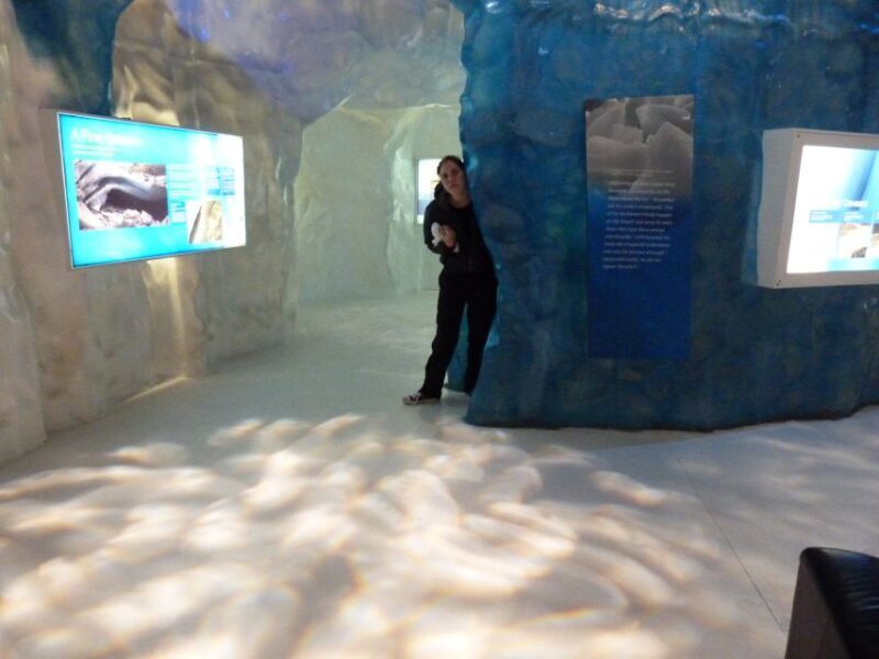 Greymouth: Glacier, Heritage & Wildlife Centre Guided Tour - A Deep Dive into the West Coast Experience