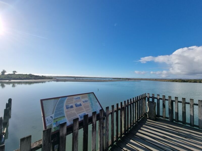 Greymouth: Glacier, Heritage & Wildlife Centre Guided Tour - Who Is This Tour Best for?