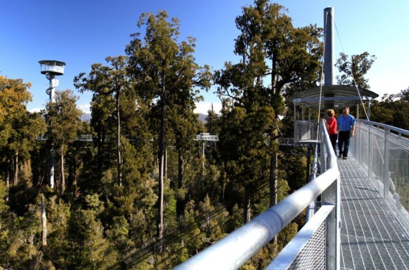 Greymouth: Hokitika Gorge and Tree Top Walkway Half-Day Tour - Final Thoughts