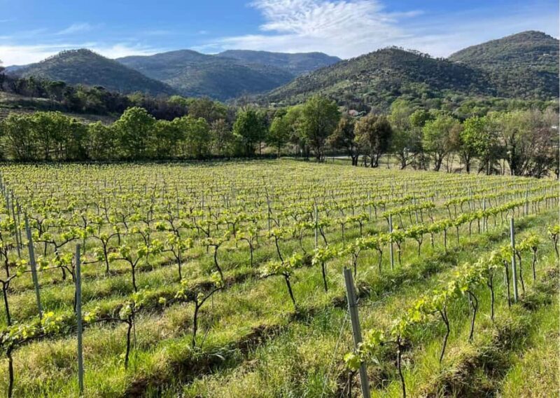 Grimaud: Horseback Riding & Wine Tasting in Maures Forest - Discovering the Charm of Grimaud: Horseback Riding & Wine Tasting in Maures Forest