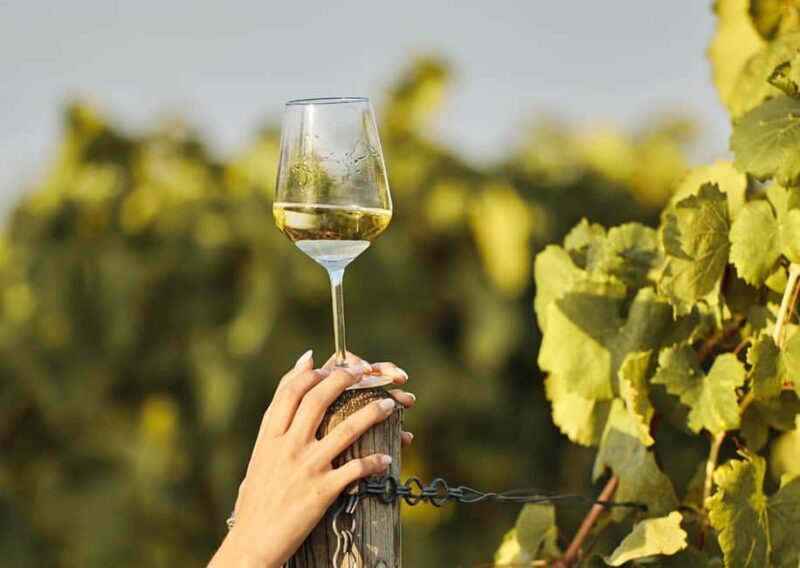 Grimaud: Horseback Riding & Wine Tasting in Maures Forest - Why This Tour Matters: Authenticity & Scenic Beauty