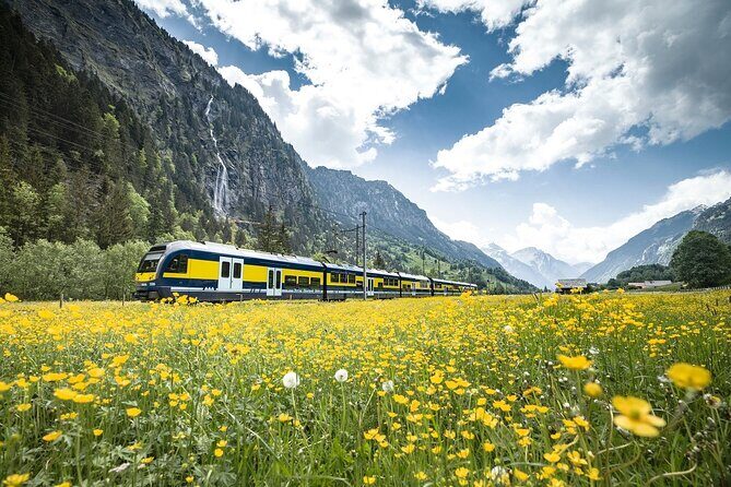 Grindelwald First - Top of Adventure from Zurich - Frequently Asked Questions
