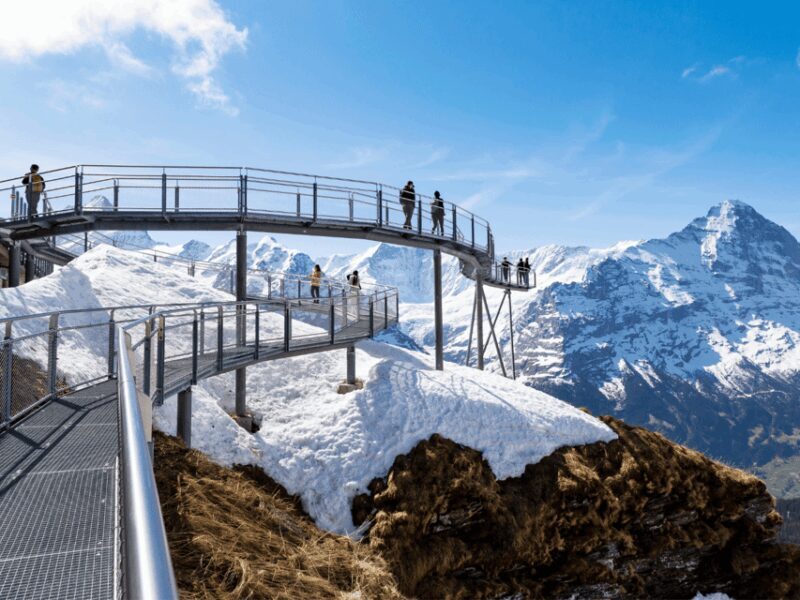 Grindelwald First Top of Adventure Private Trip - Discovering Switzerland’s Natural Charm on the Grindelwald First Private Trip