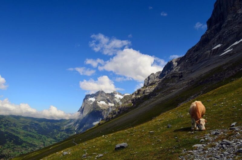 Grindelwald: Guided 7 Hour Hike - Final Thoughts