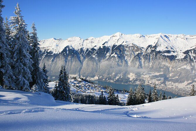 Grindelwald, Interlaken & Lauterbrunnen Day Trip from Zurich - What Makes This Tour Stand Out?