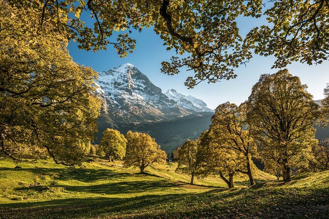 Grindelwald, Interlaken & Lauterbrunnen Day Trip from Zurich - Who Should Consider This Tour?