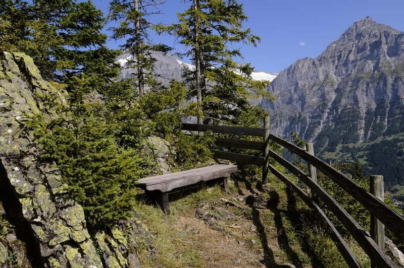 Grindelwald Private Walking tour - Key Points