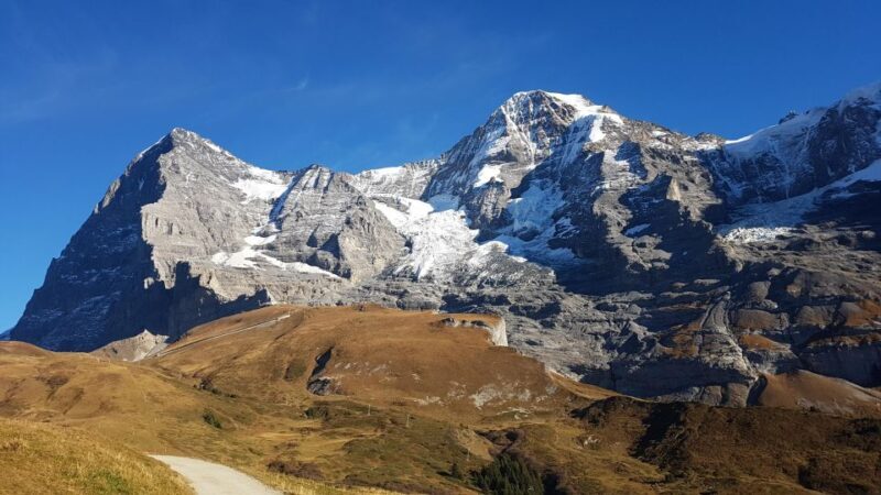 Grindelwald -Scheidegg-Lauterbrunnen Small Group Day Trip - The Sum Up