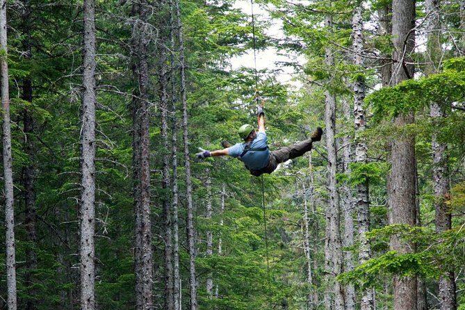 Grizzly Falls Ziplining Expedition - Key Points