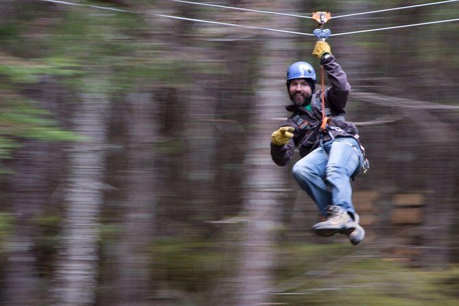 Grizzly Falls Ziplining Expedition - FAQ: Your Questions About the Skagway Ziplining Tour