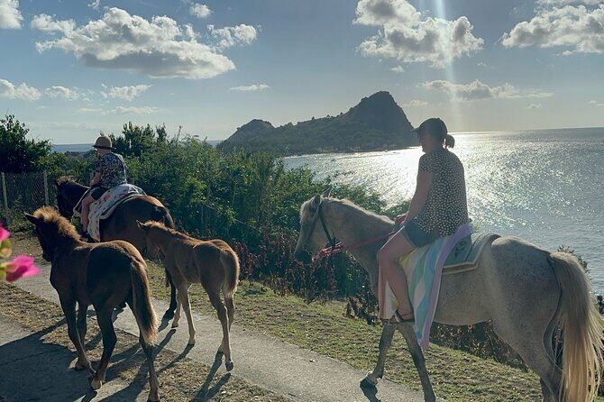 Gros Islet Village Horseback Riding run with Dore's riding Stable - Practical Details: Planning Your Horseback Ride