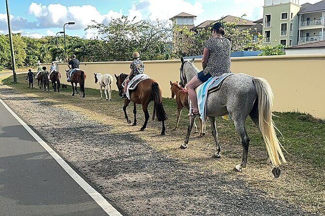 Gros Islet Village Horseback Riding run with Dore's riding Stable - Authentic Experiences and Genuine Review Highlights