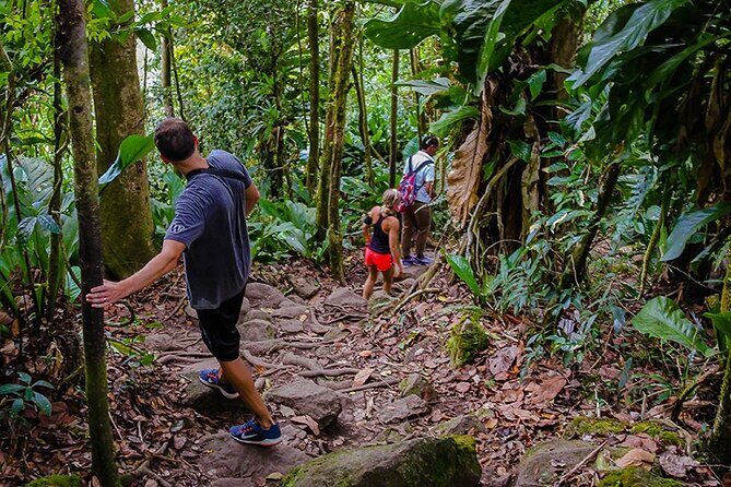 Gros Piton Hike in St. Lucia (Private) - The Details of the Gros Piton Hike