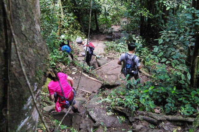 Gros Piton Hiking Adventure - The Value of This Tour