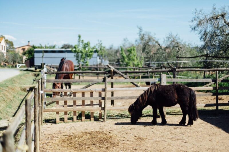 Grosseto: visit the family farm with tasting of local food - The Sum Up: Who Will Enjoy This Farm Visit?