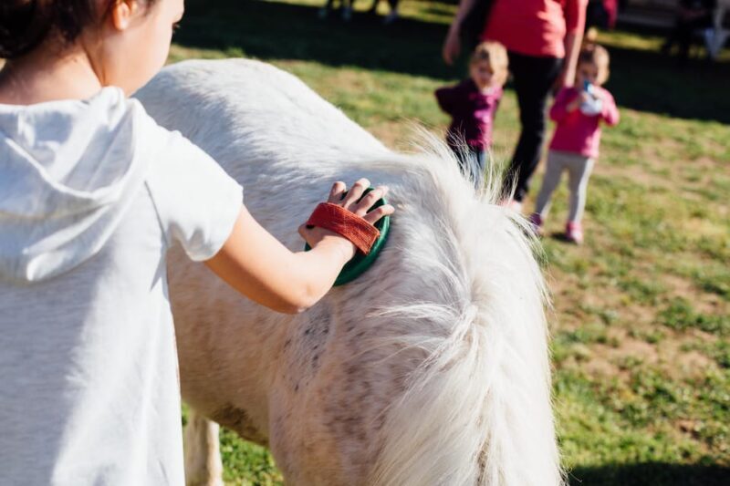 Grosseto: visit the family farm with tasting of local food - FAQ