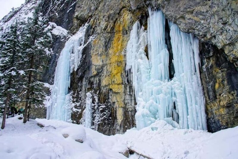 Grotto Canyon Ice Walk with Indigenous Pictographs - Frequently Asked Questions