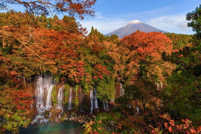Group 1 Day Tour of Mt. Fuji and Hakone: Onsen, Arts, and Nature - A Detailed Look at What You’ll Experience