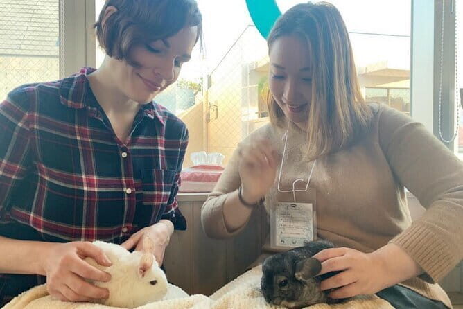 Group 1 Day Tour of Mt. Fuji and Hakone: Onsen, Arts, and Nature - Who Would Love This Tour?