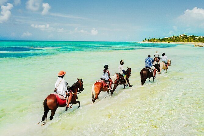 Group Beach and Ocean Horseback Adventure in Providenciales - Key Points