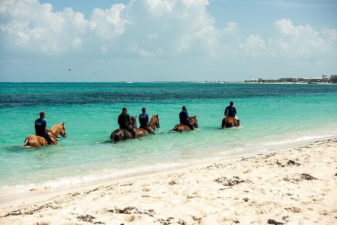 Group Beach and Ocean Horseback Adventure in Providenciales - In-Depth Look at the Horseback Adventure