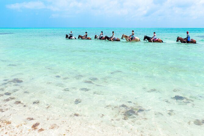 Group Beach and Ocean Horseback Adventure in Providenciales - Final Thoughts