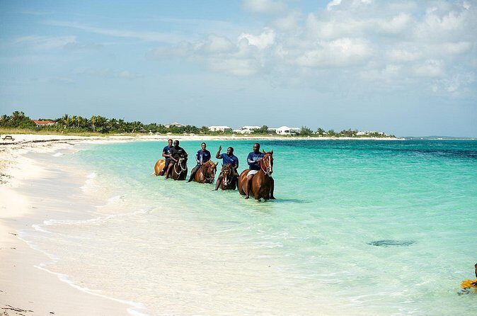 Group Beach and Ocean Horseback Adventure in Providenciales - FAQs
