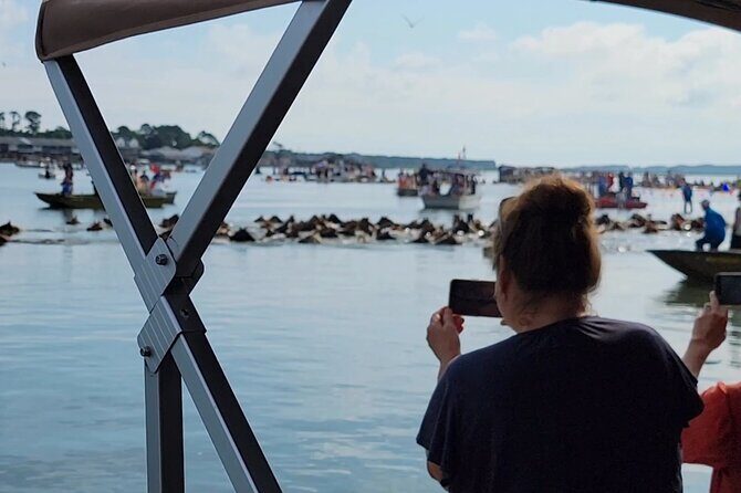 Group Boat Tours of Chincoteague & Assateague - Wild Ponies - Final Thoughts