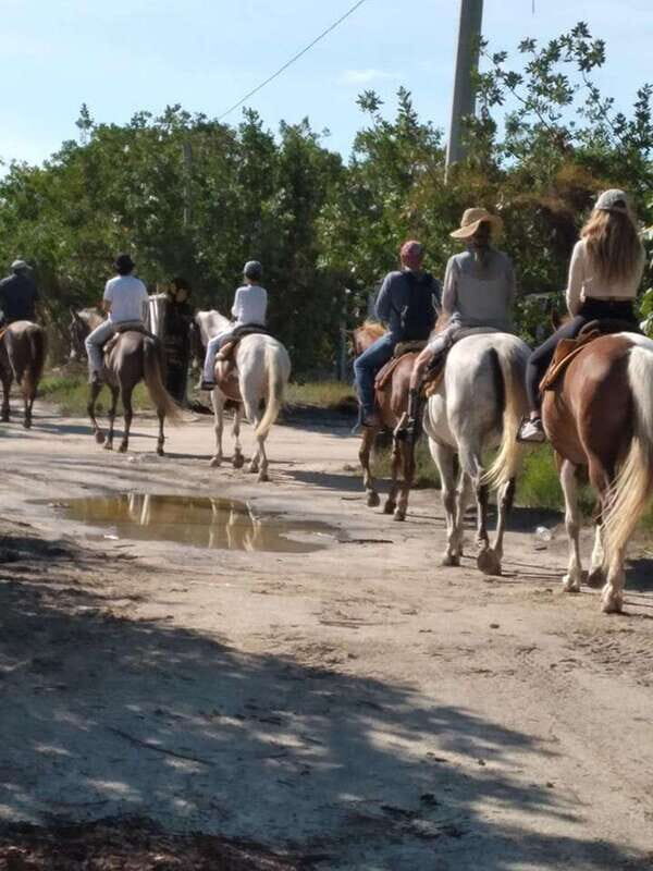 Group horseback ride on Holbox Island, Quintana Roo - Exploring the Horseback Ride on Holbox Island, Quintana Roo