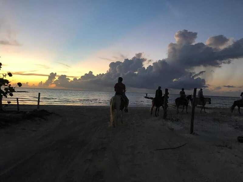Group horseback ride on Holbox Island, Quintana Roo - Group Dynamics and Experience Quality